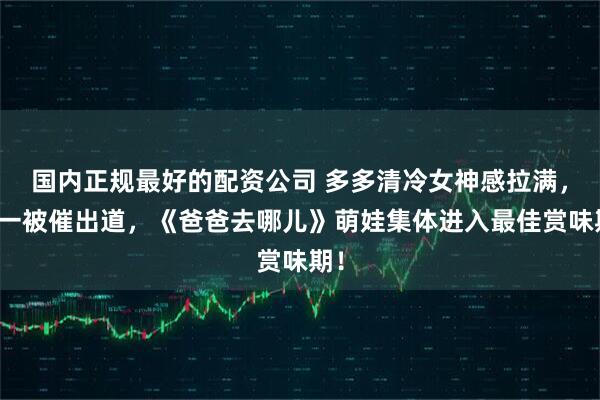 国内正规最好的配资公司 多多清冷女神感拉满，诺一被催出道，《爸爸去哪儿》萌娃集体进入最佳赏味期！