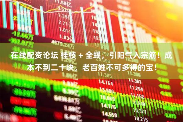 在线配资论坛 桂枝 + 全蝎，引阳气入宗筋！成本不到二十块，老百姓不可多得的宝！